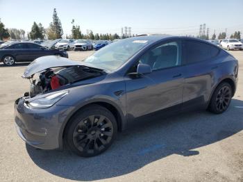  Salvage Tesla Model Y