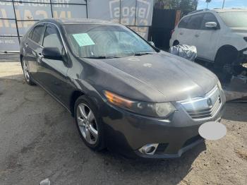  Salvage Acura TSX