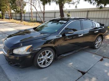  Salvage Nissan Maxima