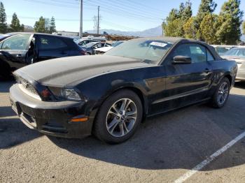  Salvage Ford Mustang