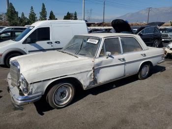  Salvage Mercedes-Benz 250-class