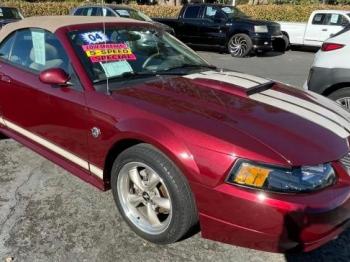  Salvage Ford Mustang