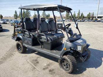  Salvage Tomb Golf Cart