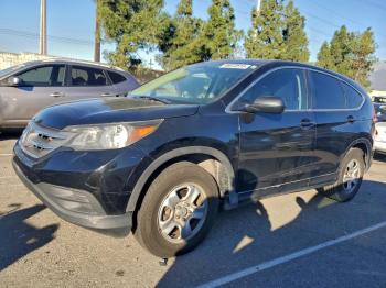  Salvage Honda Crv