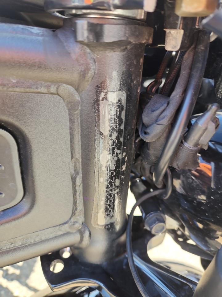 Indian Motorcycle Co Sport Scou Limited Image 8