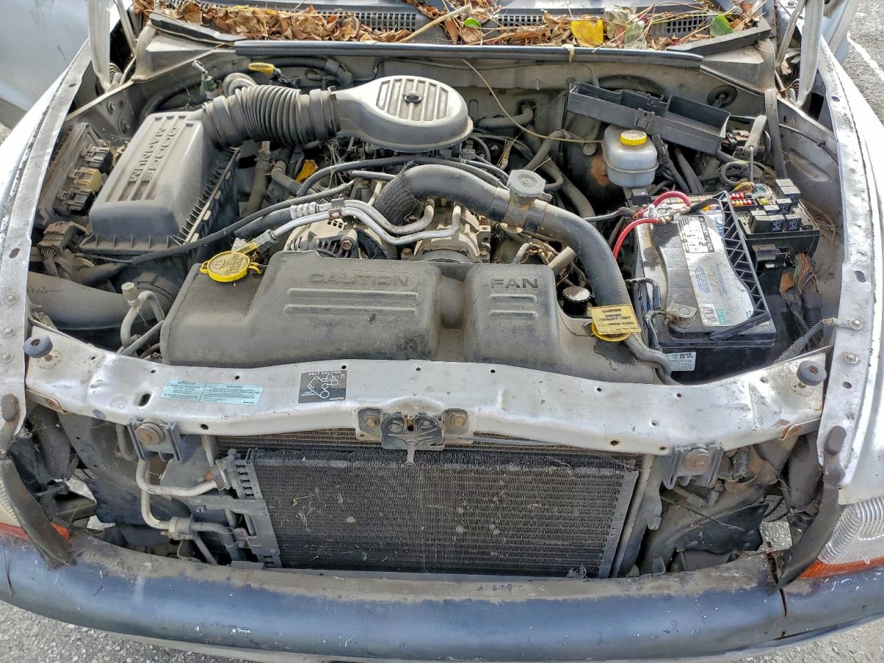 Dodge Dakota Quad Image 11